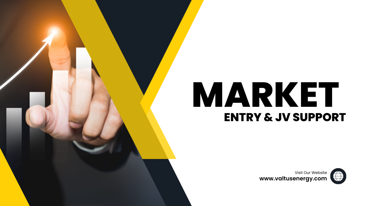 Market Entry & JV Support