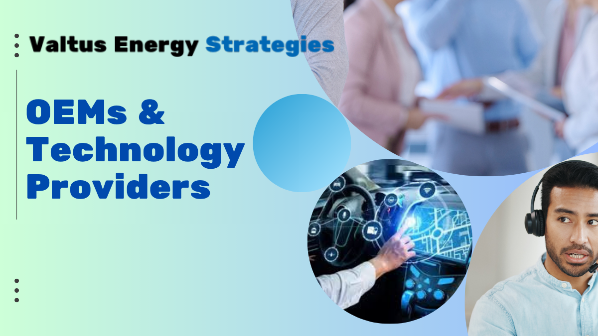 OEMs & Technology Providers Services